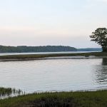 Thomas Point Beach & Campground