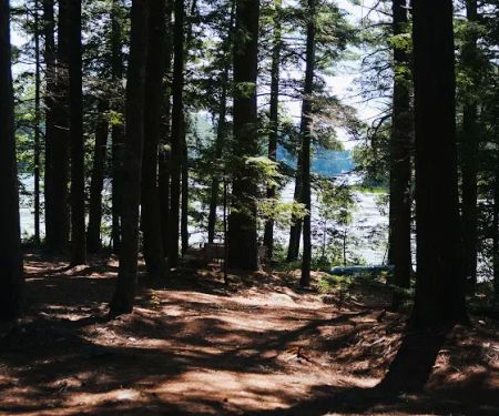 Cedar Island