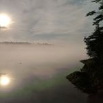 AMC Campsite