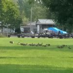 Lakeside Campground