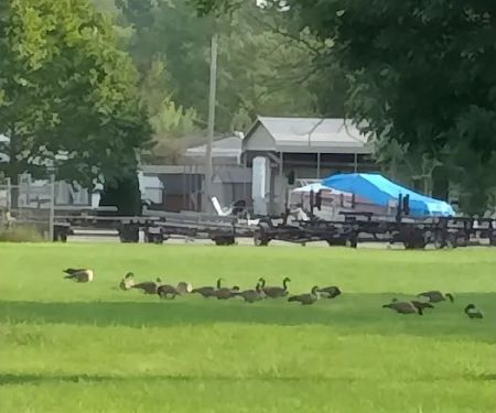 Lakeside Campground