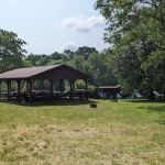 Hutch's grove