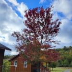 Dayspring Camp