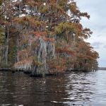 Holladay Island East