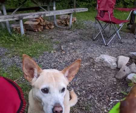 Gatewood Group Campground