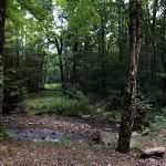 Island Campground