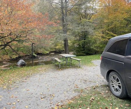 Laurel Fork Campground