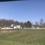 Camp Avery