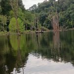 Cokeley Campground