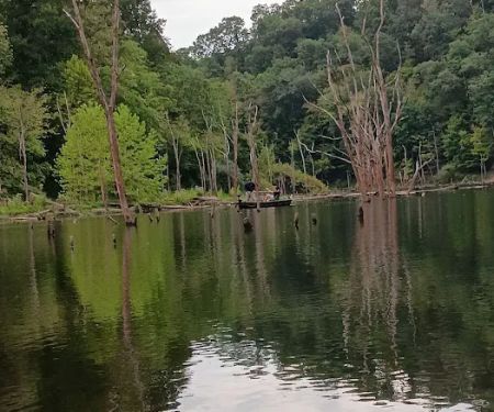 Cokeley Campground