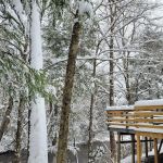 The Getaway Cabin