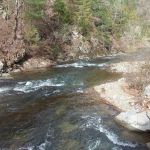 Middle Creek Campground
