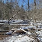 Day Run Campground