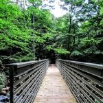 Tea Creek Campground