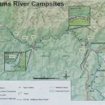 Williams River Campsite 14