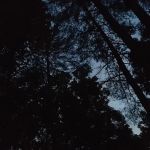 Paradise Campground
