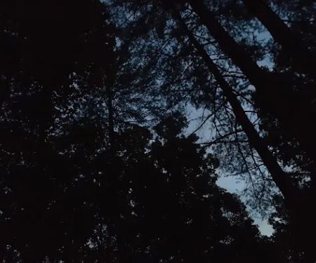 Paradise Campground