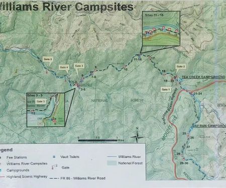Williams River Campsite 10