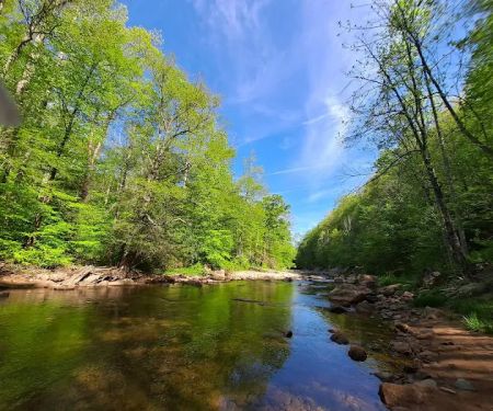 Cranberry Campground