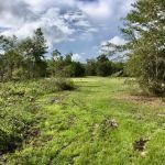 Camp Bonner North