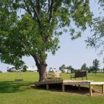 Mountain Top RV Park & Cabins