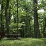 Rocky Knob Recreation Area