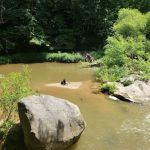 Hippie Hollow
