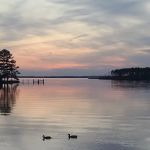 Dixon Landing RV Resort