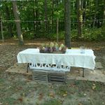 Camp Conley LLC