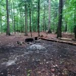 Mohican State Park - Backpack Campsite #9