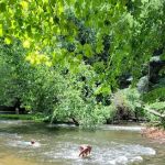 Mohican State Park - Campground B