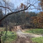 Dry Creek Pines