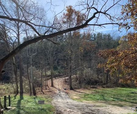 Dry Creek Pines