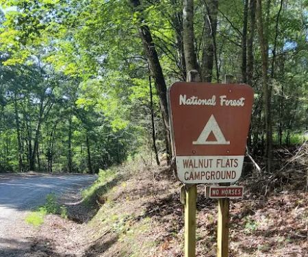 Walnut Flats Campground