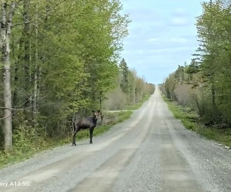 ROUTE 11 RV SITES