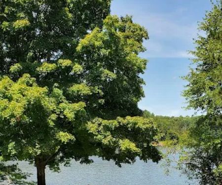 Firefly Cottage on Lake Logan
