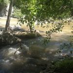 Piper Creek Campground