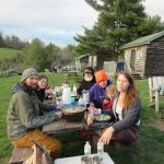 Fancy Gap Cabins and Campground