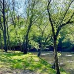 Paddlers Creekside Campground