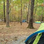 William B. Umstead Family Campground
