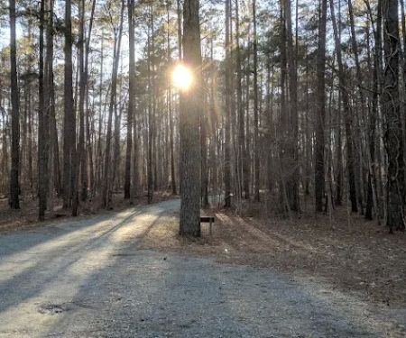 Camp Lapihio