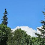 Fish River Falls Campsite
