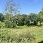 Little Darby Outdoors