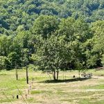 Gemini Campground