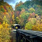 Hillbilly Rentals Resort & Campground