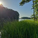 Poplar Point Loop G