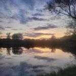 Shadylake Campground