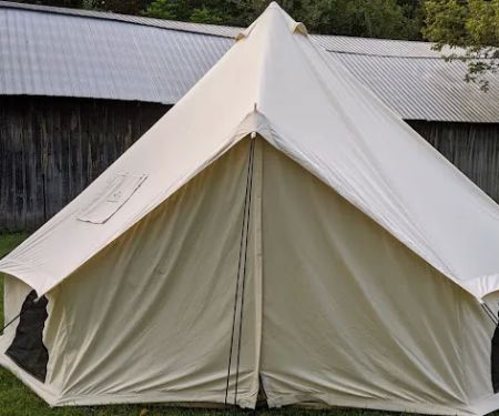Camp Swallowtail
