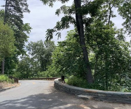 Morrow Mountain State Park Campground