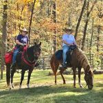 Daily Walk Stables CAMPGROUND